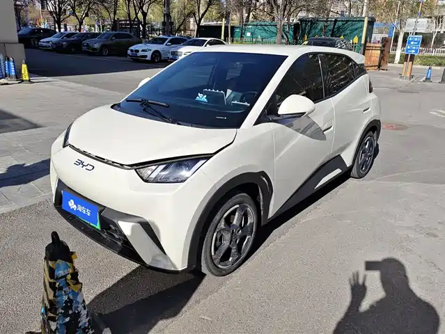 Byd Seagull Seagull 2024 Honor Edition 405km Flying Edition — фото