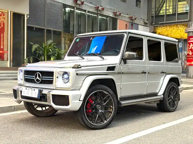 Mercedes-Benz Mercedes Benz G Class Mercedes-Benz G-Class 2010 G 500 — фото