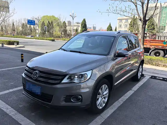 Volkswagen Tiguan Tiguan 2010 2.0tsi Automatic Four-Wheel Drive Flagship Navigation Version — фото