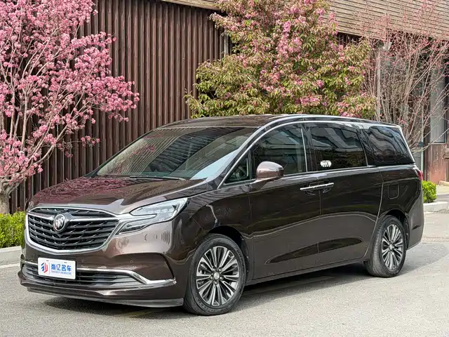 Buick Buick Gl8 Buick Gl8 2020 Es Lu Zun 653t Luxury Model — фото