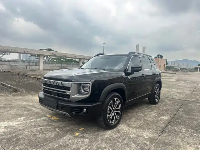 Harvard Harvard Dog Haval Big Dog 2024 1.5t Dct Border Collie Edition — фото