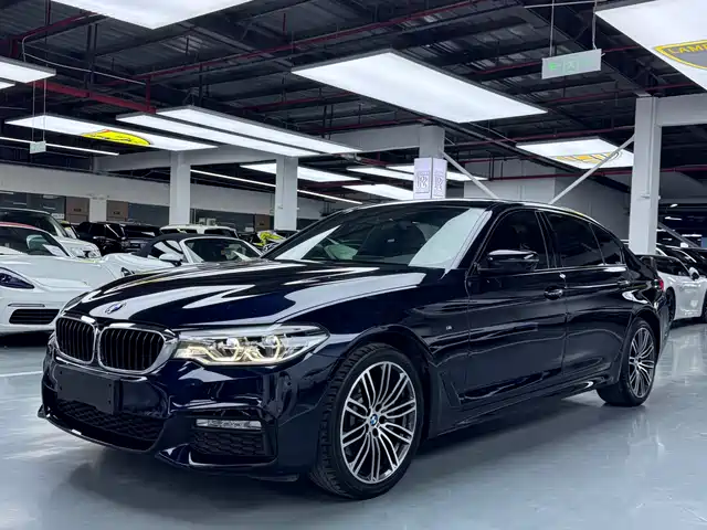 Bmw Bmw 5 Series Bmw 5 Series 2018 Facelift 530li Leading M Sports Package — фото