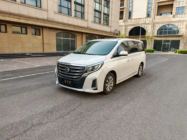Gac Trumpchi Trumpchi M8 Trumpchi M8 2020 Pilot Model 390t Exclusive Edition — фото