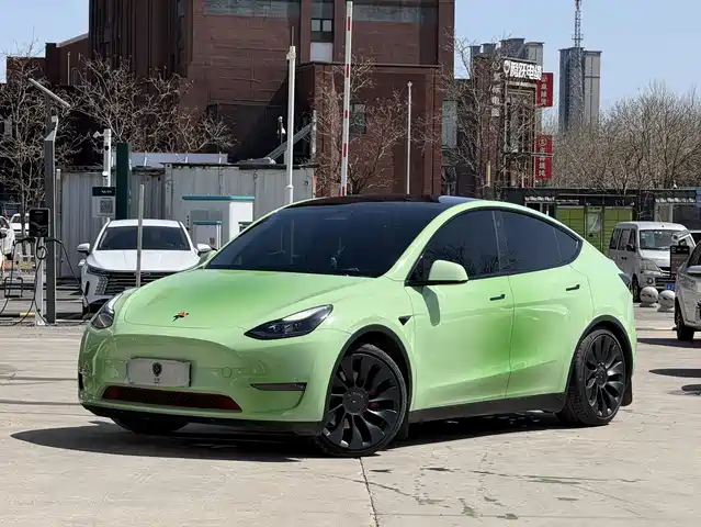 Tesla Model Y Model Y 2022 Performance High-Performance All-Wheel Drive Version — фото