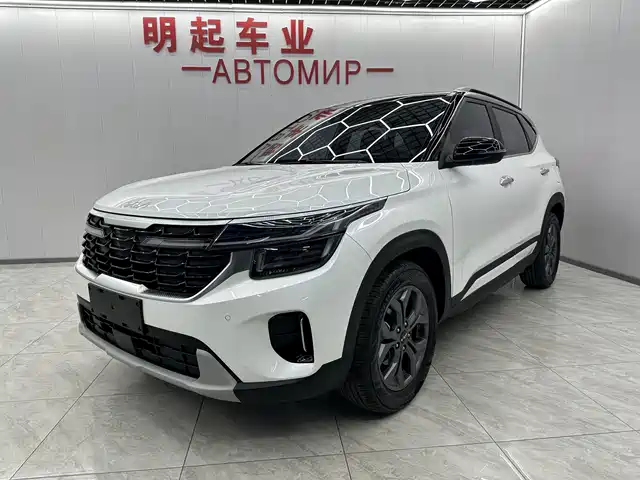 Kia Sethus Sethus 2023 1.5l Cvt Deluxe Edition — фото