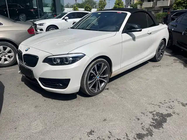 Bmw Bmw 2 Series (Imported) Bmw 2 Series (Imported) 2019 225i Convertible Coupe Sports Design Package — фото