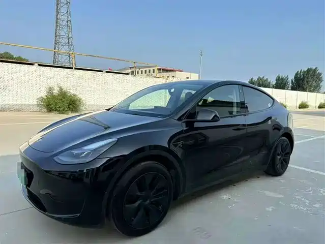 Tesla Model Y Model Y 2024 Rear-Wheel Drive Version — фото