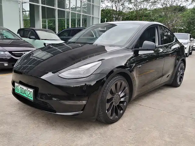 Tesla Model Y Model Y 2021 Performance High-Performance All-Wheel Drive Version — фото