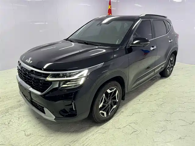 Kia Sethus Sethus 2023 1.5l Cvt Premium Edition — фото