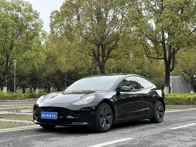 Tesla Model 3 Model 3 2022 Rear-Wheel Drive Version — фото