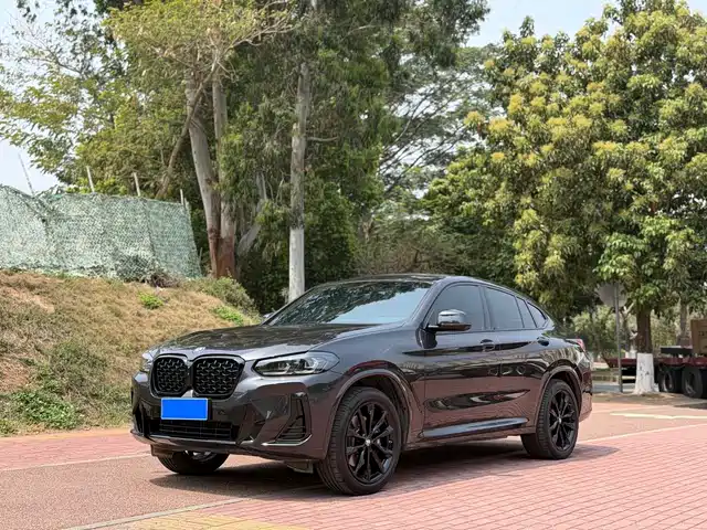 Bmw Bmw X4 Bmw X4 2022 Xdrive 30i M Sports Night Package — фото