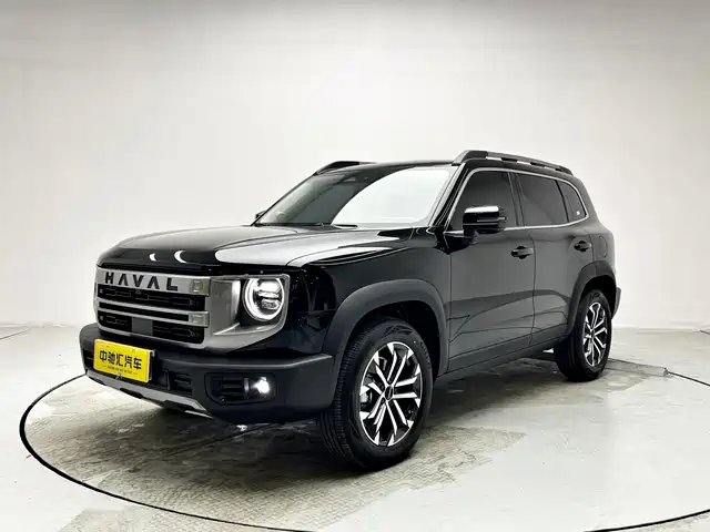 Harvard Harvard Dog Haval Big Dog 2024 1.5t Dct Border Collie Edition — фото