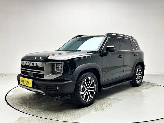 Harvard Harvard Dog Haval Big Dog 2024 1.5t Dct Border Collie Edition — фото