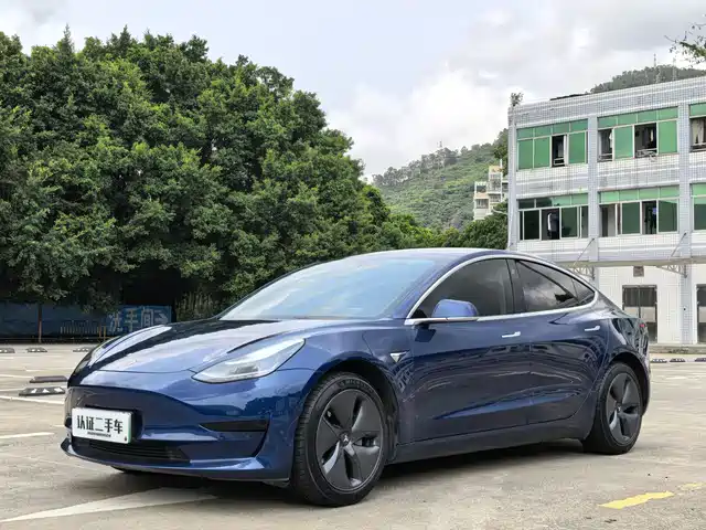 Tesla Model 3 Model 3 2020 Standard Range Rear Drive Upgraded Version — фото