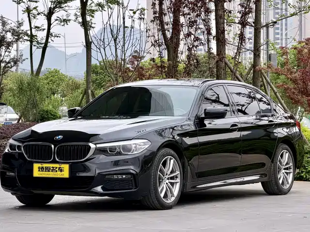 Bmw Bmw 5 Series Bmw 5 Series 2019 525li M Sports Package — фото