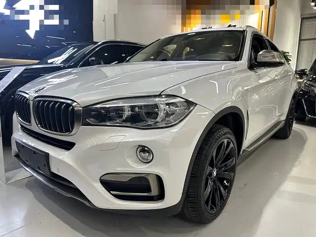 Bmw Bmw X6 Bmw X6 2018 Xdrive35i Leading Model — фото
