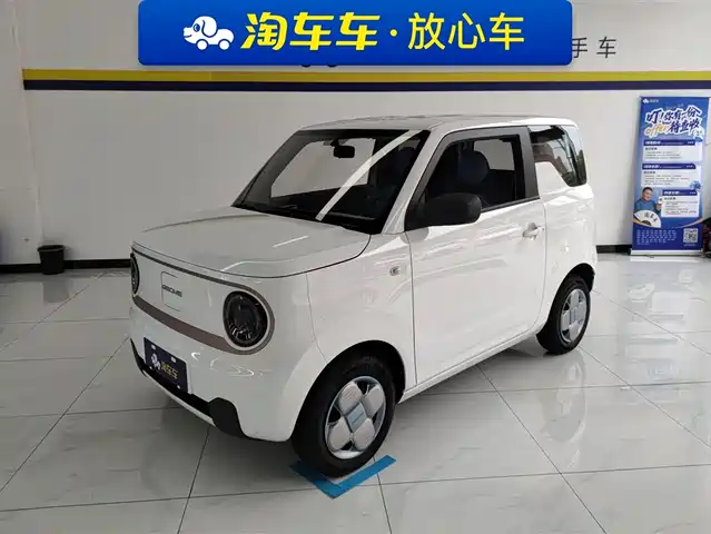 Geely Galaxy Panda Panda 2023 Panda Mini 200km Endurance Bear — фото