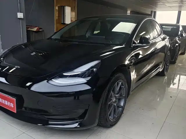 Tesla Model 3 Model 3 2020 Facelift Standard Range Rear-Wheel Drive Upgraded Version — фото
