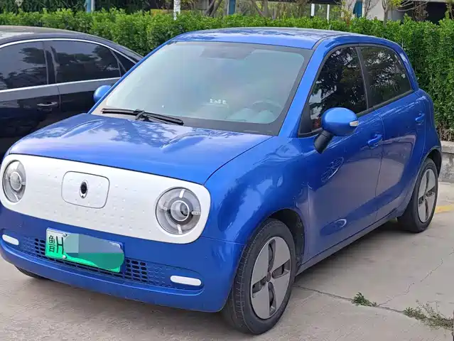 Euler Euler Black Cat Euler Black Cat 2019 310km Smart Edition — фото