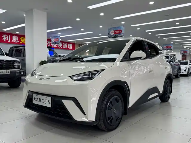 Byd Seagull Seagull 2024 Honor Edition 305km Vitality Edition — фото