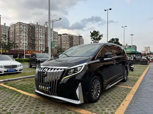Gac Trumpchi Trumpchi M8 Trumpchi M8 2021 Master Series 390t Extreme Edition — фото