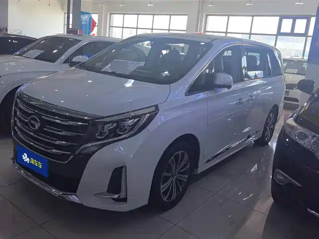 Gac Trumpchi Trumpchi M8 Trumpchi M8 2020 Pilot Model 390t Extreme Edition — фото