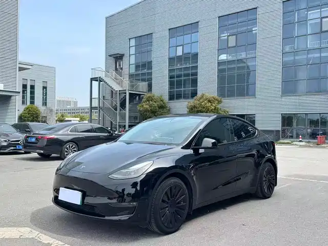 Tesla Model Y Model Y 2021 Standard Range Rear-Wheel Drive Version — фото