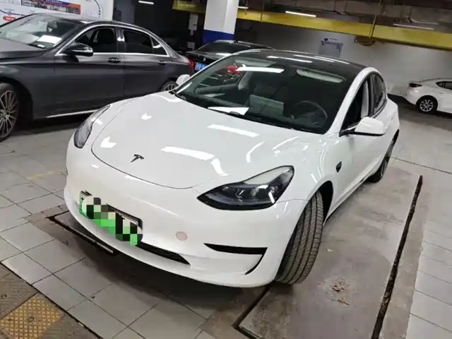 Tesla Model 3 Model 3 2022 Rear-Wheel Drive Version — фото