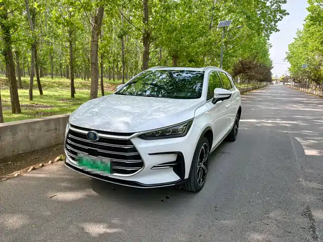 Byd Tang New Energy Tangxin Energy 2021 Dm-I 112km Premium Model — фото