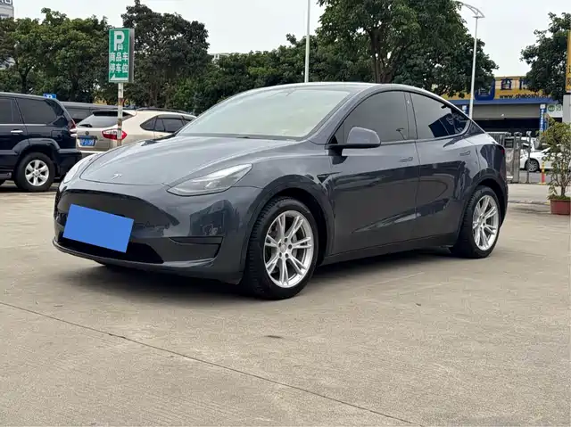 Tesla Model Y Model Y 2023 Rear-Wheel Drive Version — фото