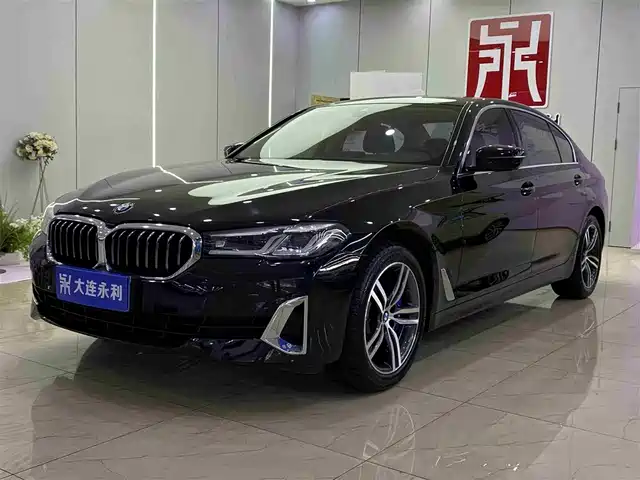 Bmw Bmw 5 Series Bmw 5 Series 2021 530li Leading Luxury Package — фото
