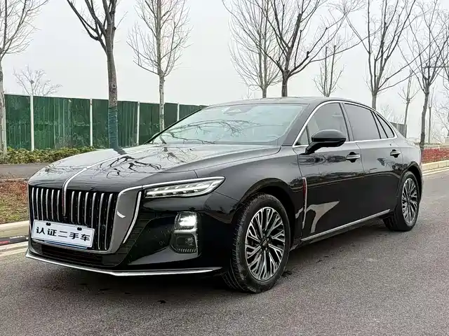 Red Flag Hongqi H5 Hongqi H5 2023 2.0t Automatic Zhilianqichang Edition — фото