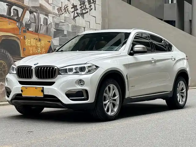 Bmw Bmw X6 Bmw X6 2018 Xdrive35i Leading Model — фото