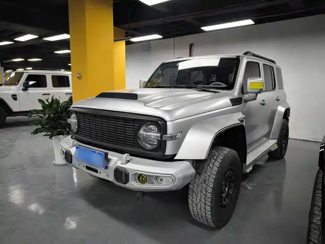Tank Tank 300 Tank 300 2021 City Edition 2.0t Very Stylish — фото