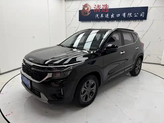 Kia Sethus Sethus 2023 1.5l Cvt Deluxe Edition — фото