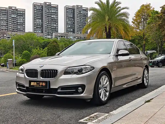Bmw Bmw 5 Series Bmw 5 Series 2014 528li Leading Model — фото