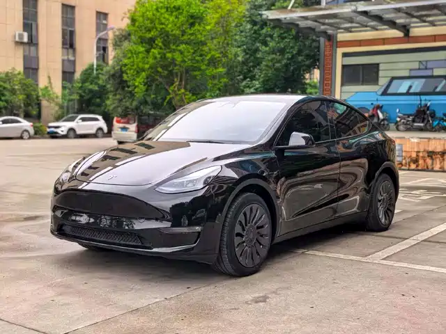 Tesla Model Y Model Y 2023 Long-Range All-Wheel Drive Version — фото