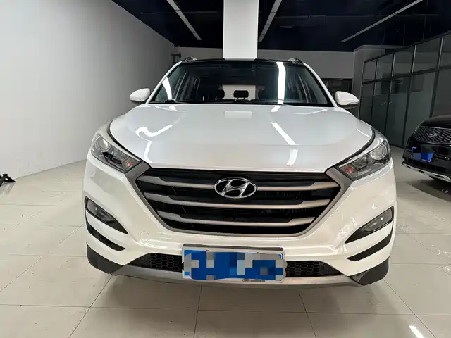 Hyundai Tucson Tucson 2015 1.6t Dual-Clutch Two-Wheel Drive Intelligent Model — фото