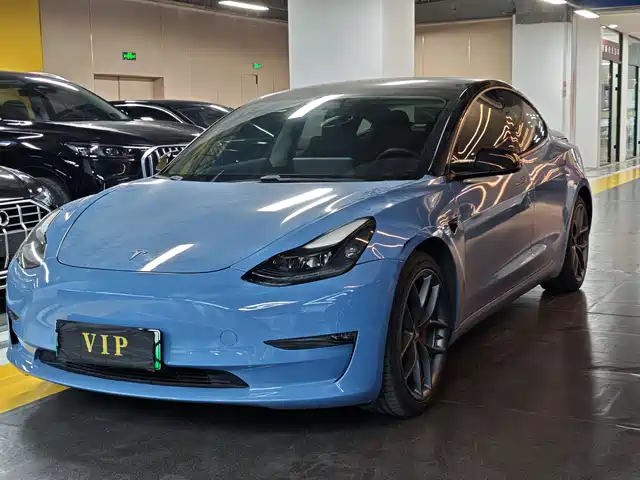Tesla Model 3 Model 3 2021 Performance High-Performance All-Wheel Drive Version 3d6 — фото