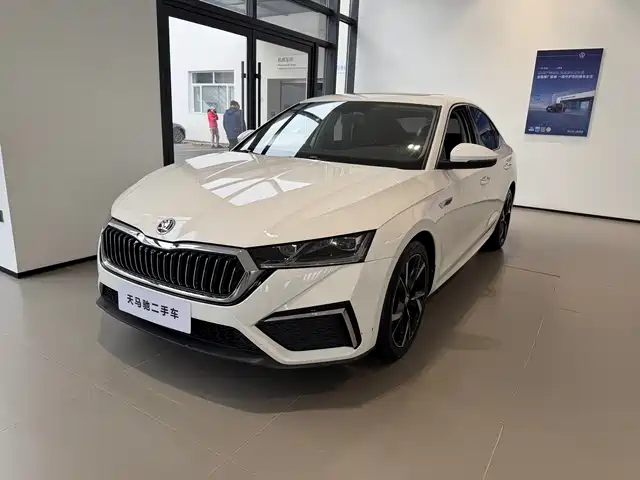 Skoda Octavia Octavia 2021 Pro Tsi280 Dsg Deluxe Edition — фото
