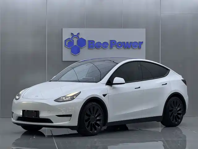 Tesla Model Y Model Y 2021 Performance High-Performance All-Wheel Drive Version — фото