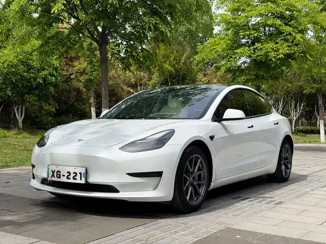 Tesla Model 3 Model 3 2021 Standard Range Rear Drive Upgraded Version — фото
