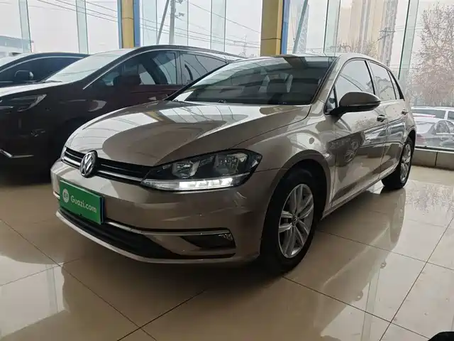 Volkswagen Golf Golf 2018 1.6l Automatic Comfort Type — фото