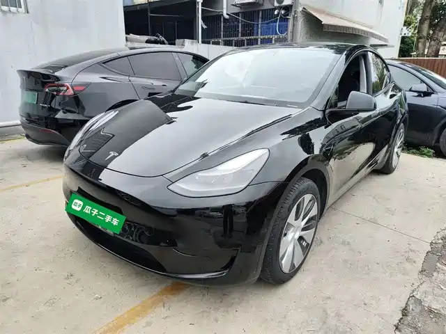 Tesla Model Y Model Y 2022 Rear-Wheel Drive Version — фото