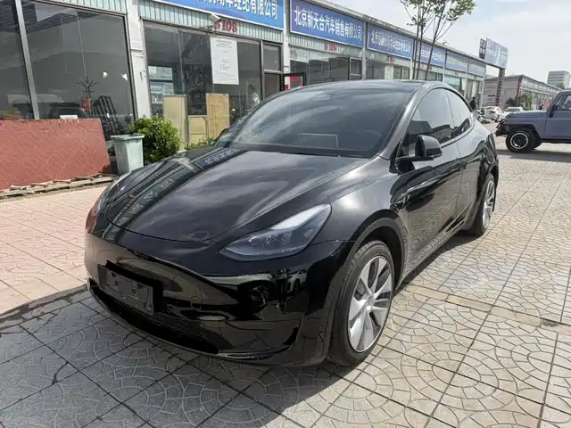Tesla Model Y Model Y 2022 Facelift Rear-Wheel Drive Version — фото
