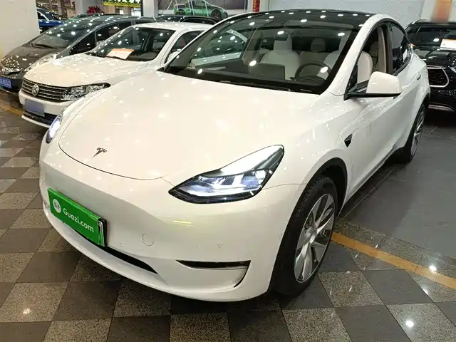 Tesla Model Y Model Y 2022 Long-Range All-Wheel Drive Version — фото