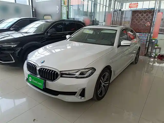 Bmw Bmw 5 Series Bmw 5 Series 2021 530li Leading Luxury Package — фото