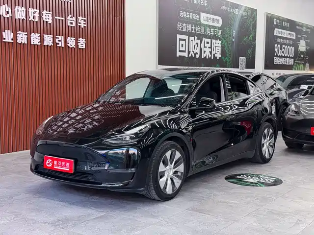Tesla Model Y Model Y 2021 Standard Range Rear-Wheel Drive Version — фото
