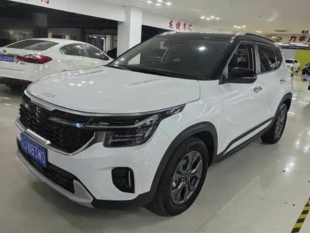 Kia Sethus Sethus 2023 1.5l Cvt Deluxe Edition — фото