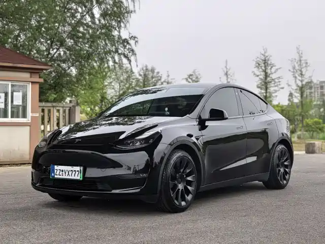 Tesla Model Y Model Y 2021 Standard Range Rear-Wheel Drive Version — фото